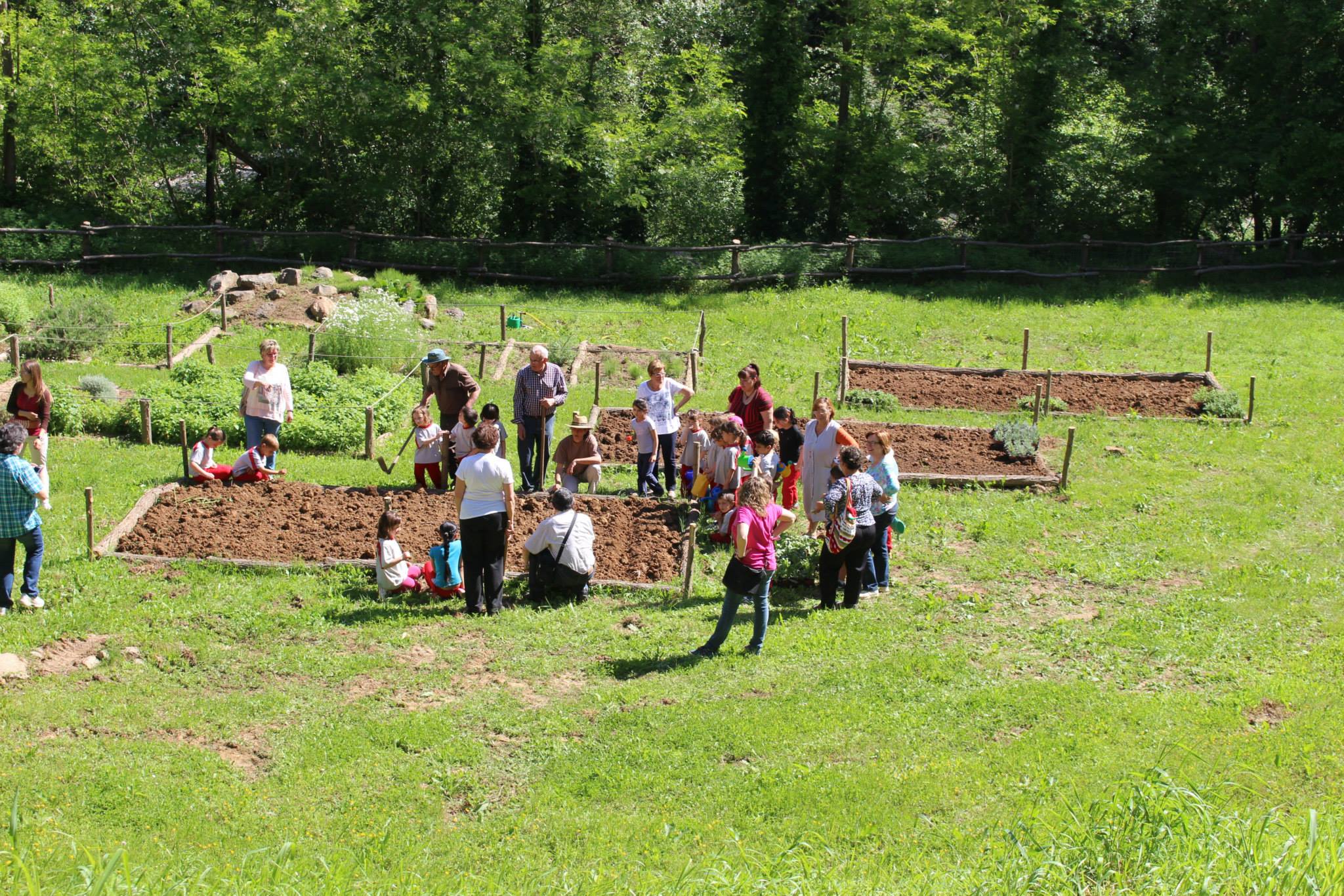 110515 FOTO SANT JOAN LES FLORS 4