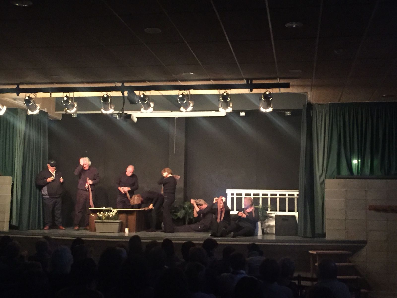 301017 BOJOS PEL DIAMANT 2