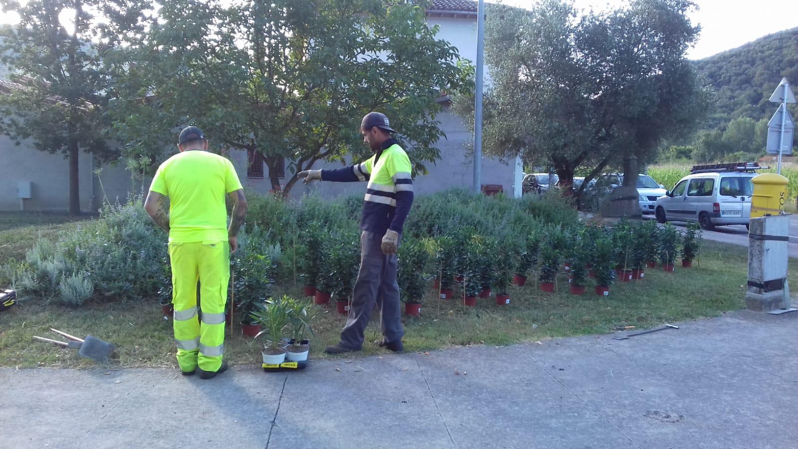 millores sant joan (3)