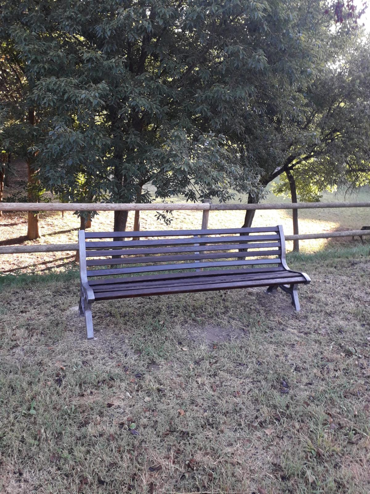 millores sant joan (8)